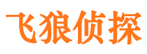 河北区市私人侦探